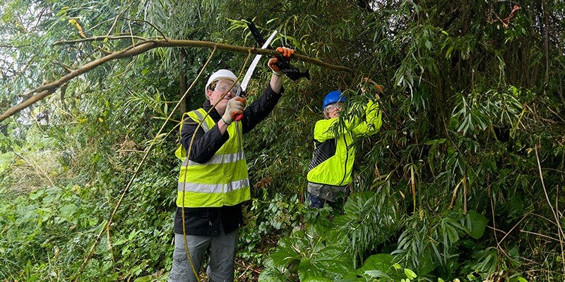 Marsden Building Society colleagues volunteering at Primrose Lodge